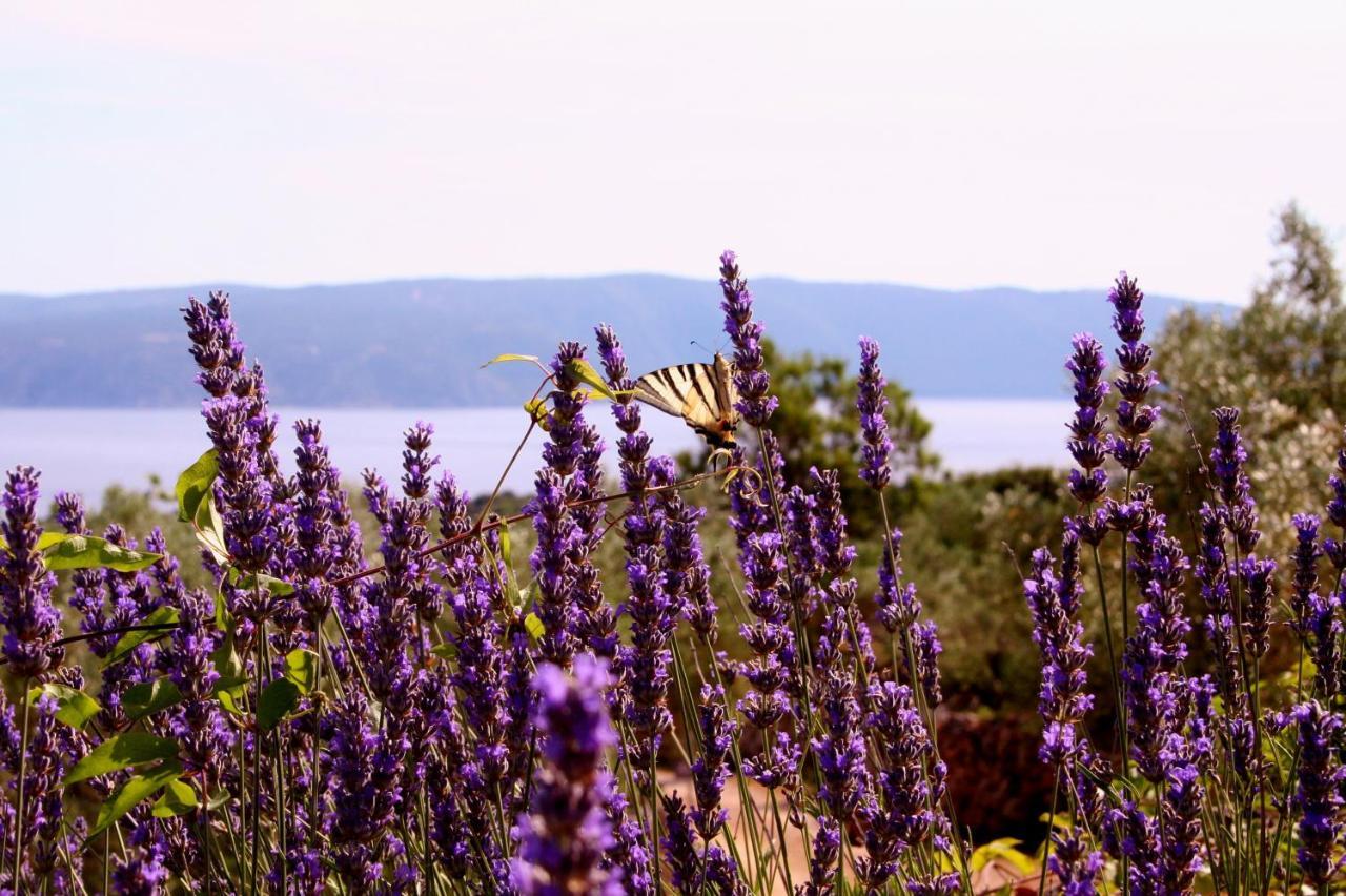 Boutique B&B Agroturizam Sv. Juraj Vrh  Bagian luar foto